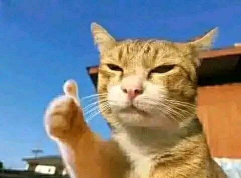 Sampul Berita